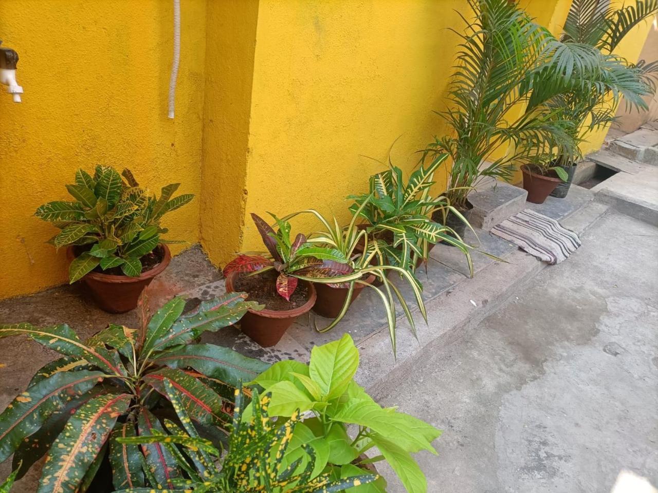 Nks Homestay Puducherry Zewnętrze zdjęcie